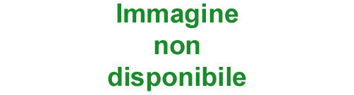 IDROPISTOLE METALLO CROMATO TESTINA  ROTANTE 4 REGOLAZIONI 441L