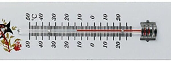 TERMOMETRI PARETE IN METALLO CM.20  VELAMP THERM28